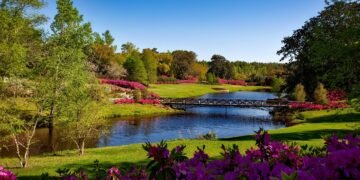 Primăvară extremă în Europa! De la 20°C la ninsori peste noapte – fenomenul care dă peste cap vremea