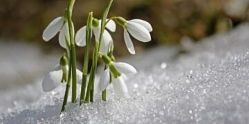 Vreme anormal de caldă în martie! ANM anunță temperaturi peste normal și precipitații deficitare în toată țara