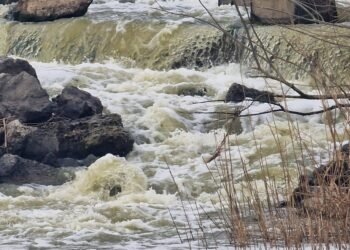 Poluare severă în zona Vlădeni, Iași: apa râului Jijia amenință ecosistemul