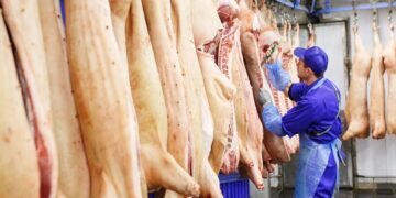 Ministrul Agriculturii, revoltat de diferențele de preț: „Porcul pleacă din fermă cu 4,8 lei/kg, iar în magazine ajunge la 18 lei”