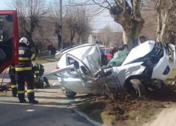 Tragedie pe strada Victoriei din Victoria: un tânăr fără permis și-a pierdut viața după ce s-a izbit de un pom