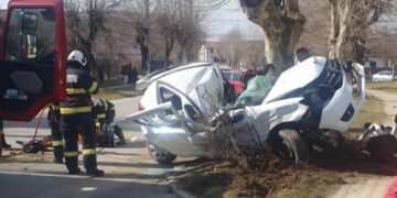 Tragedie pe strada Victoriei din Victoria: un tânăr fără permis și-a pierdut viața după ce s-a izbit de un pom