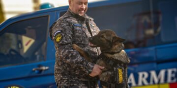 Un nou pas în pregătirea profesională: Hugo, câinele de serviciu al Inspectoratul de Jandarmi Județean Iași, la cursul de specializare al Centrul Chinologic Sibiu