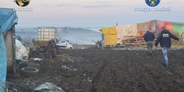 Groază la o fermă din Iași. Un minor și un adult erau puși să îngrijească zeci de animale de dimineață până seara