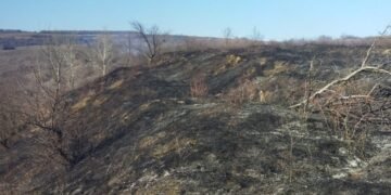 Val de incendii de vegetație în Neamț: 5 focare într-o singură zi, flăcările au amenințat locuințe și păduri