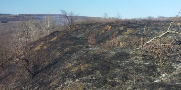 Val de incendii de vegetație în Neamț: 5 focare într-o singură zi, flăcările au amenințat locuințe și păduri
