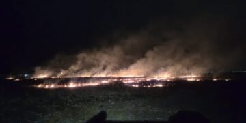 Val de incendii de vegetație în Neamț: pompierii au intervenit pentru stingerea flăcărilor pe zeci de hectare