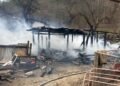 Incendiu într-o gospodărie din Alexandru cel Bun: un adăpost de animale a fost distrus