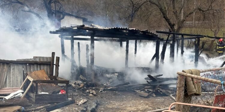 Incendiu într-o gospodărie din Alexandru cel Bun: un adăpost de animale a fost distrus