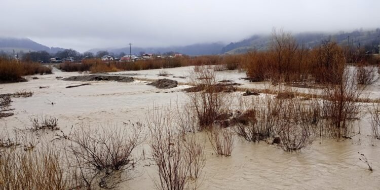 inundatii