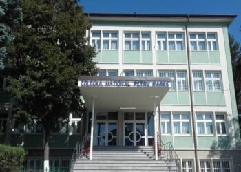 Colegiul Petru Rares