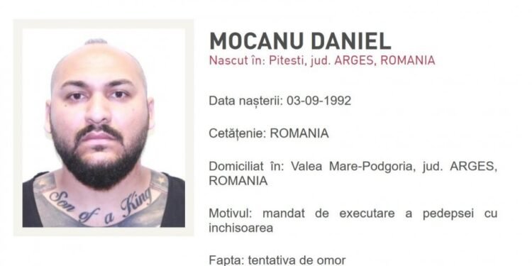 Dani Mocanu
