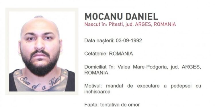 Hot r re Definitiv A Justi iei Italiene n Cazul Manelistului Dani 