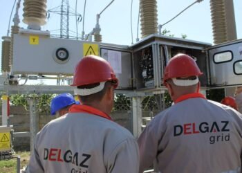 Delgaz Grid