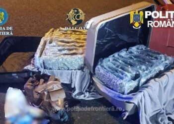 Aproximativ 31 kilograme de canabis descoperite de poliţiştii de frontieră la Nădlac, în judeţul Arad