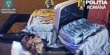 Aproximativ 31 kilograme de canabis descoperite de poliţiştii de frontieră la Nădlac, în judeţul Arad