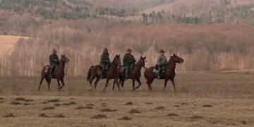 Alertă în Covasna! Desfășurare impresionantă de forțe după apariția unui bărbat misterios în pădure. Localnicii se tem că ar fi criminalul fugar Emil Gânj