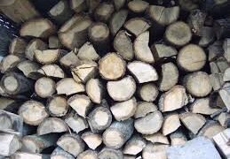 DESCINDERI MASIVE în România: 23 de percheziții în mafia lemnului! Procurorii au intrat peste firme, depozite și suspecți din 6 județe