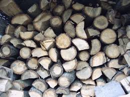 DESCINDERI MASIVE în România: 23 de percheziții în mafia lemnului! Procurorii au intrat peste firme, depozite și suspecți din 6 județe