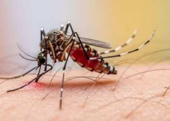 Trei copii din Iași, suspecți de malarie după o călătorie în Africa. Anchetă epidemiologică în curs