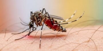 Trei copii din Iași, suspecți de malarie după o călătorie în Africa. Anchetă epidemiologică în curs