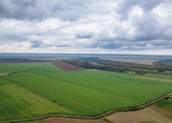 Fenomen în creștere în România: investitori străini cumpără tot mai multe terenuri agricole