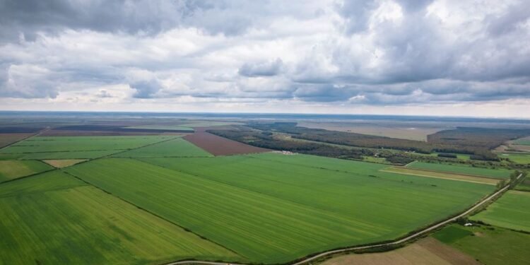 Fenomen în creștere în România: investitori străini cumpără tot mai multe terenuri agricole