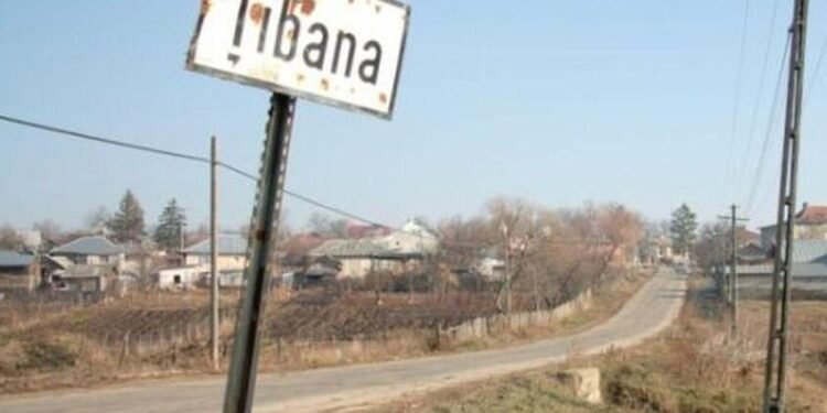 Tibana