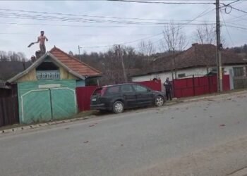 A aruncat cu țigle în polițiști, apoi le-a cerut să-i pună o manea din mașina de poliție