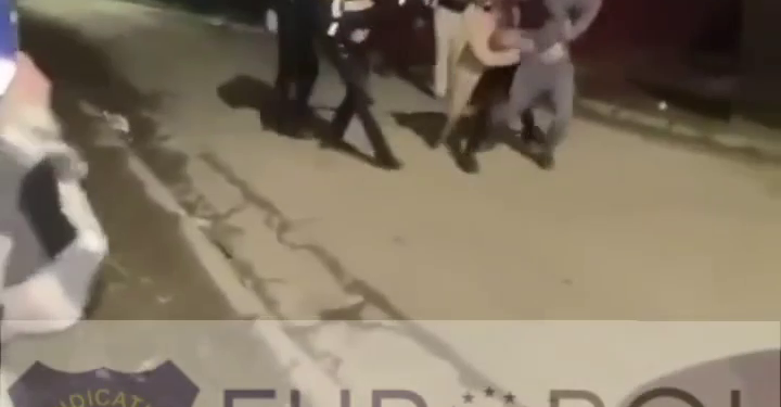Politisti