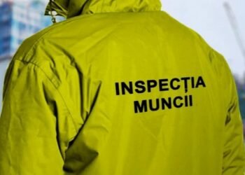 Inspectia Muncii