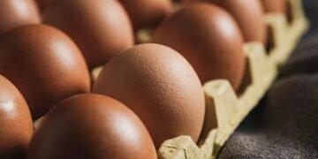 Alertă sanitară: 1,5 milioane de ouă contaminate cu Salmonella, depistate de inspectorii ANSVSA