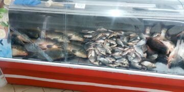 Acțiune pentru combaterea comercializării ilegale a peștelui și a produselor din pește, în județul Galați