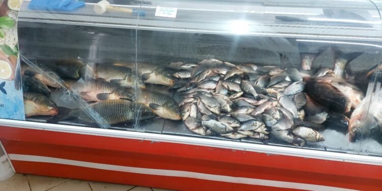Acțiune pentru combaterea comercializării ilegale a peștelui și a produselor din pește, în județul Galați