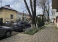 Copaci doborâți de vânt în mai multe zone din Iași
