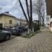 Copaci doborâți de vânt în mai multe zone din Iași