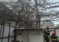 Pompierii intervin pe strada Sf. Andrei, Iași, după ce un copac s-a prăbușit peste o țeavă de gaz