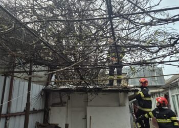 Pompierii intervin pe strada Sf. Andrei, Iași, după ce un copac s-a prăbușit peste o țeavă de gaz
