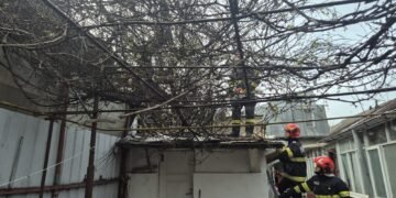 Pompierii intervin pe strada Sf. Andrei, Iași, după ce un copac s-a prăbușit peste o țeavă de gaz