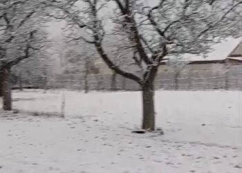 VIDEO: Iarna s-a întors în munți: ninsoare și viscol pe crestele din Vrancea