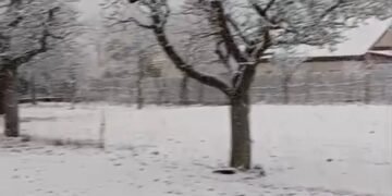 VIDEO: Iarna s-a întors în munți: ninsoare și viscol pe crestele din Vrancea