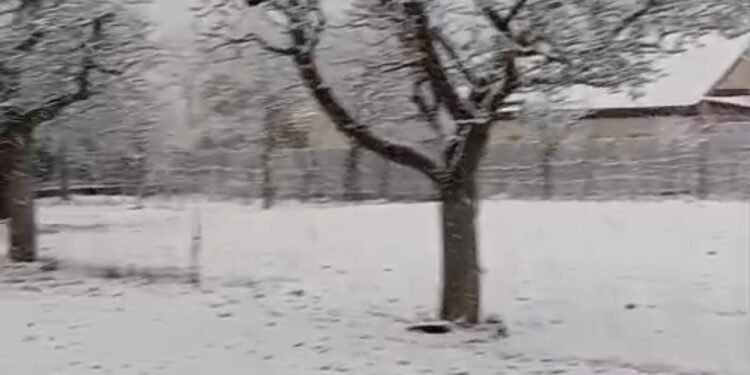 VIDEO: Iarna s-a întors în munți: ninsoare și viscol pe crestele din Vrancea