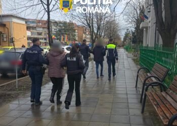 Două persoane reținute la Iași după ce au instigat un minor să lovească un câine fără stăpân