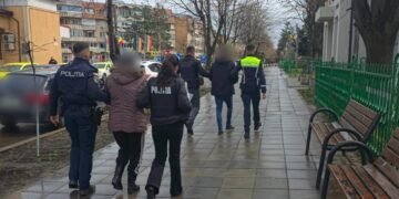 Două persoane reținute la Iași după ce au instigat un minor să lovească un câine fără stăpân