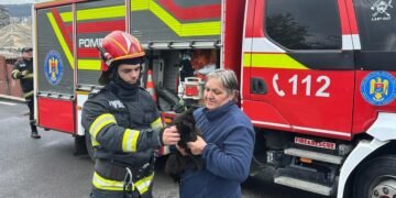 Intervenție de suflet în Vinerea Mare: pompierii ieșeni au salvat o pisică rămasă blocată la 12 metri înălțime, într-un brad