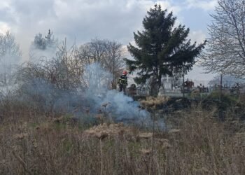 Incendiu într-un cimitir din Botoșani, pornit de la o lumânare aprinsă