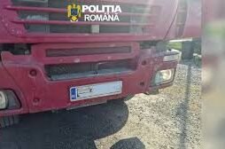 A vrut să păcălească rovinieta cu bandă adezivă, dar s-a ‘lipit’ de o amendă uriașă