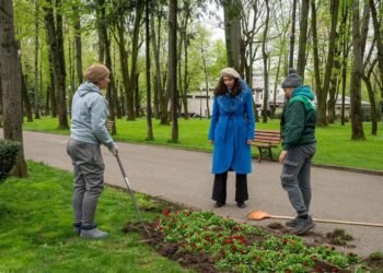 Copou redevine verde: autoritățile locale promit intervenții responsabile asupra arborilor