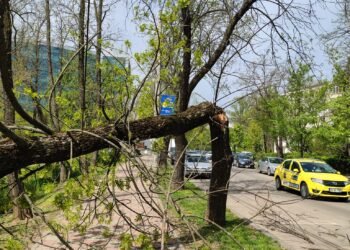 Probleme mari in judetul Iasi din cauza rafalelor de vant. Copaci pusi la pamant, acoperisuri smulse de vant si masini avariate