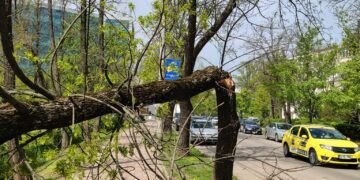 Probleme mari in judetul Iasi din cauza rafalelor de vant. Copaci pusi la pamant, acoperisuri smulse de vant si masini avariate